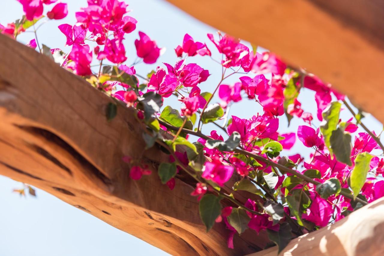 Valley Club Ibiza - Boutique Agroturismo ซานต์โจอัน เดอ ลาบริตจา ภายนอก รูปภาพ