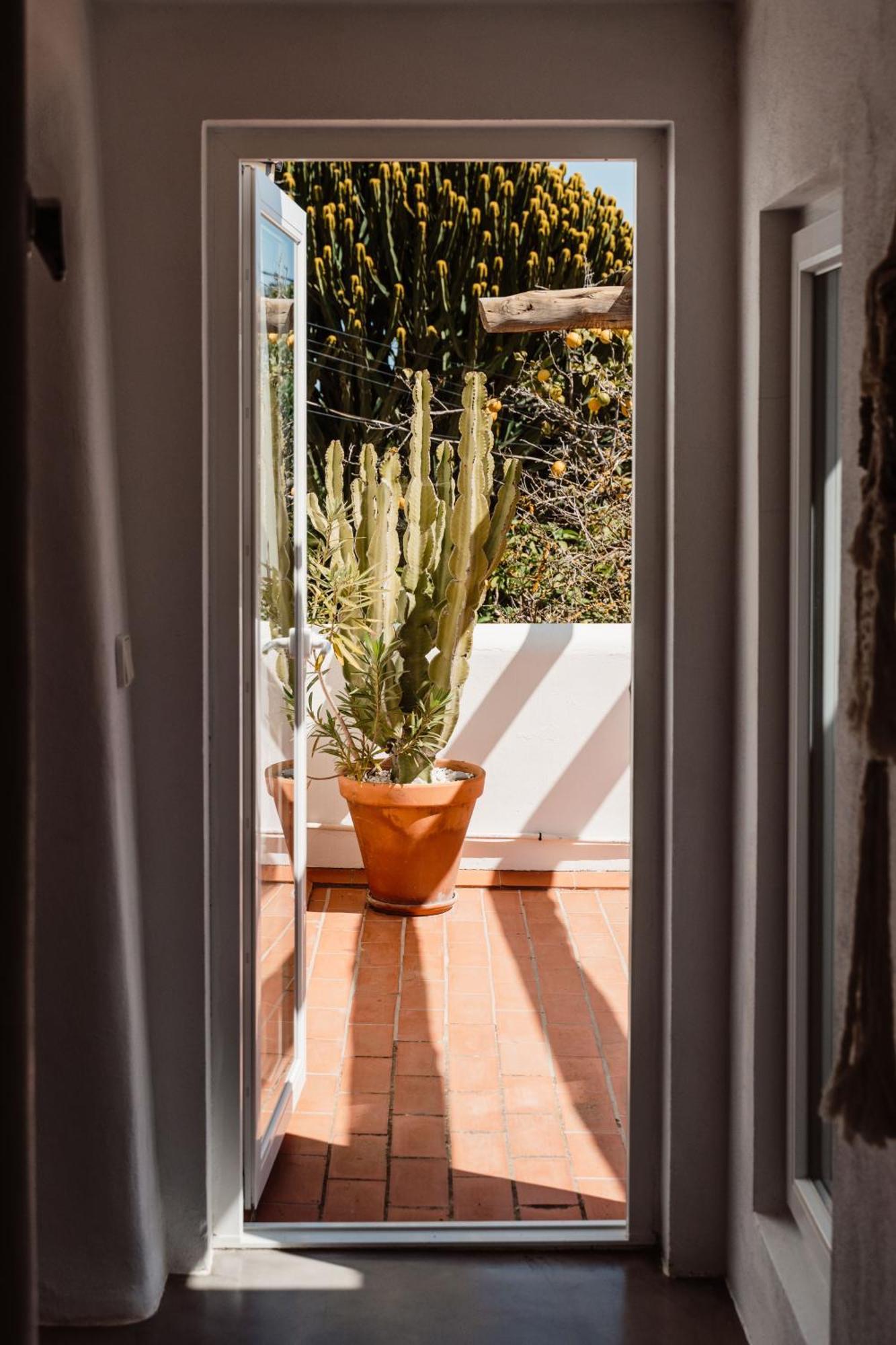 Valley Club Ibiza - Boutique Agroturismo ซานต์โจอัน เดอ ลาบริตจา ห้อง รูปภาพ